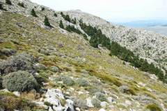 1_SrraNieves